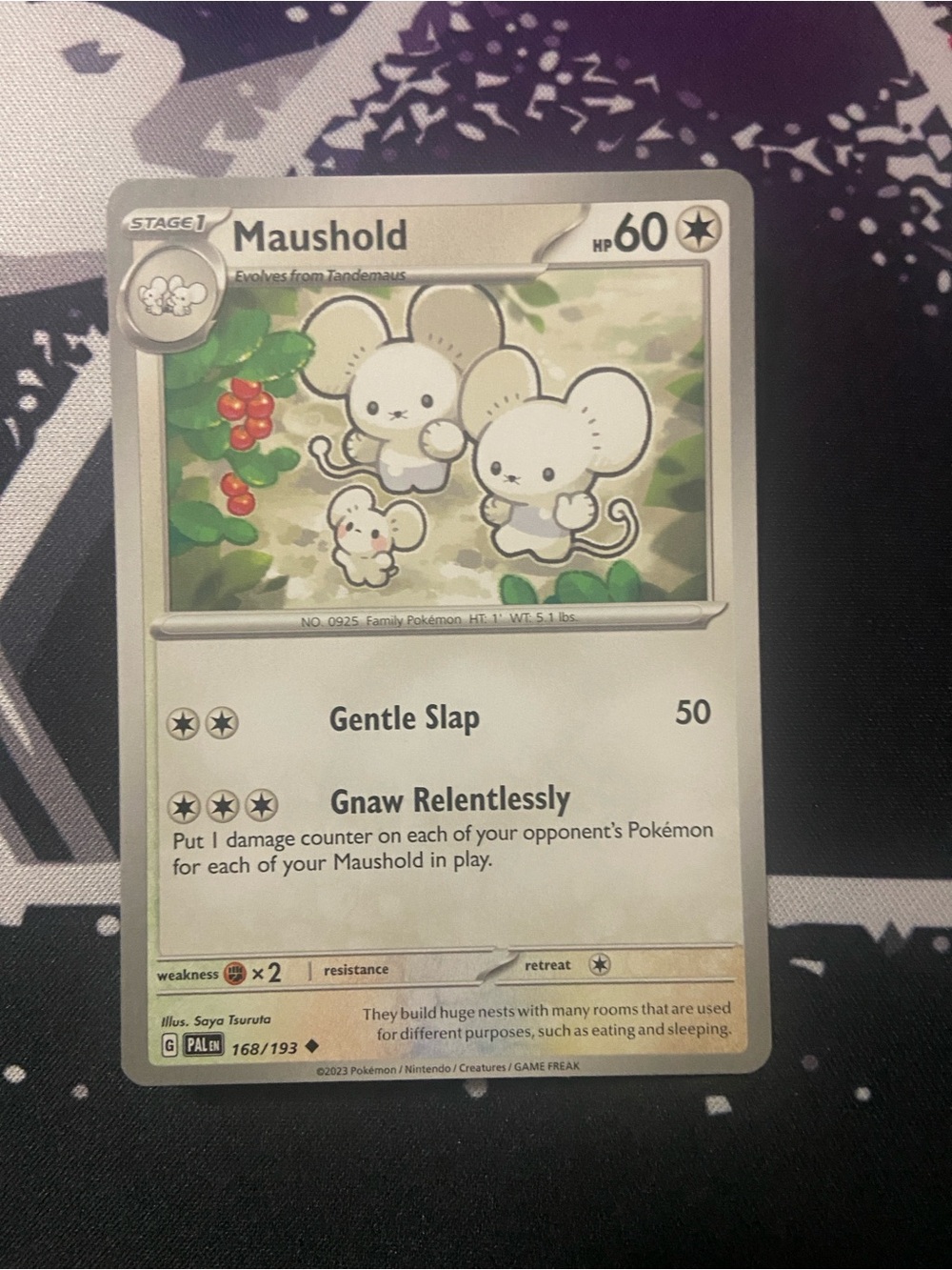 Maushold (Card Number 168/193) from the Paldea Evolved
